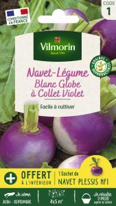 Navet-légume Blanc Globe à Collet Violet